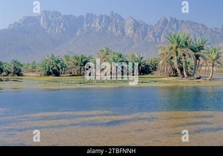 I Monti Hajar sono una delle catene montuose più alte della penisola araba, [ citazione necessaria ] condivisa tra il nord dell'Oman e l'est Unito Foto Stock