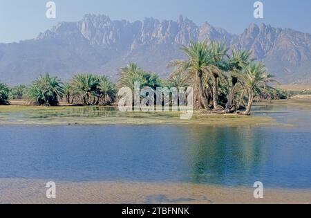 I Monti Hajar sono una delle catene montuose più alte della penisola araba, [ citazione necessaria ] condivisa tra il nord dell'Oman e l'est Unito Foto Stock