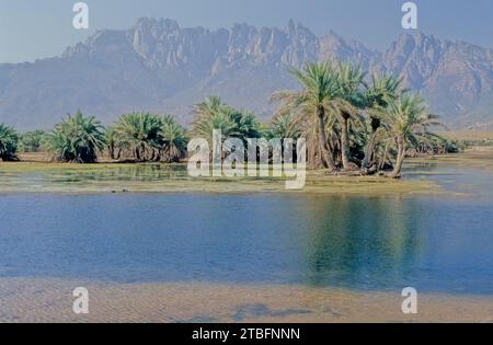 I Monti Hajar sono una delle catene montuose più alte della penisola araba, [ citazione necessaria ] condivisa tra il nord dell'Oman e l'est Unito Foto Stock