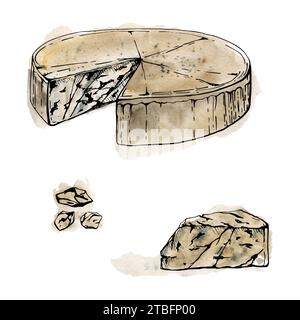 Illustrazione dell'inchiostro ad acquerello disegnato a mano. Formaggio blu Gorgonzola, testa intera e fette, prodotto caseario. Oggetto singolo isolato su bianco. Ristorante di design Foto Stock