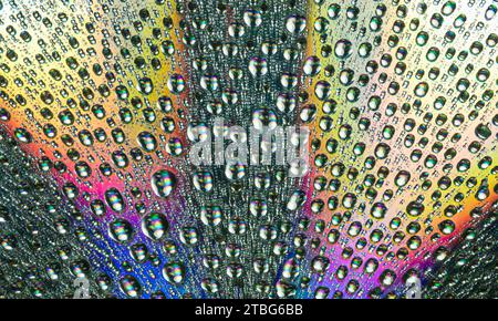 Uno sfondo colorato astratto con gocce d'acqua Foto Stock