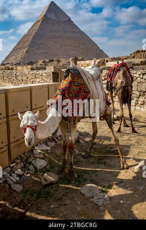 Piramide di Khafre o di Chefren, Giza, Egitto Foto Stock