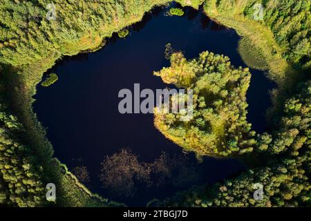 Una vista colorata dall'alta quota di un lago forestale con un'isola che assomiglia a un occhio Foto Stock