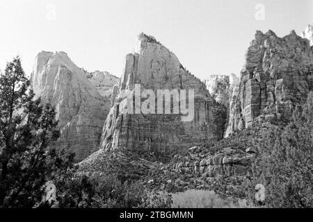 Die Drei Patriarchen im Zion Nationalpark, Utah 1968. I tre Patriarchi nel parco nazionale di Zion, Utah 1968. Foto Stock