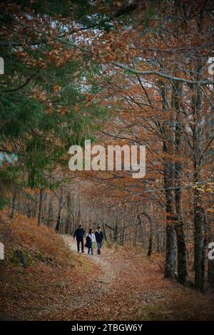 Tre persone camminano su un sentiero forestale tra gli alberi a Rota das Faias, Manteigas, Serra da Estrela, Portogallo, Europa Foto Stock