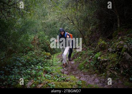 Giovane escursionista che utilizza bastoni da trekking su un sentiero boschivo bagnato Foto Stock