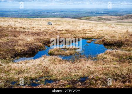 Piscina con acqua piovana a West Mill Tor, Dartmoor National Park, Devon, Regno Unito. North Devon visibile in lontananza. Foto Stock