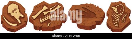 Ossa fossili di scavi archeologici di dinosauri in pietra ammonitica Illustrazione Vettoriale