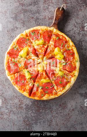 Salame piccante con peperoncini, cipolla rossa, mozzarella ed erbe aromatiche da vicino su una tavola di legno sul tavolo. Vista dall'alto verticale Foto Stock