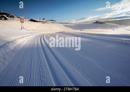 Reit Im Winkl, Germania. 7 dicembre 2023. Vista di una pista da sci di fondo appena preparata sulla Winklmoos-Alm. Il comprensorio sciistico a circa 1200 metri inizia a sciare il 09.12.2023. Credito: Uwe Lein/dpa/Alamy Live News Foto Stock