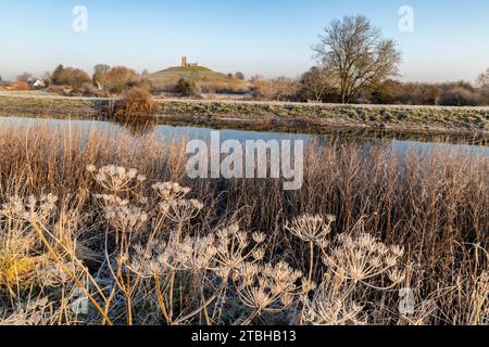 Piante ghiacciate sulle rive del fiume Parrett, con la chiesa di Burrow Mump sullo sfondo, Burrowbridge, Somerset, Inghilterra. Inverno (gennaio) 2023. Foto Stock