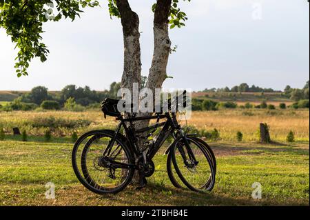 Le due biciclette parcheggiate sotto l'albero in un prato erboso verde Foto Stock