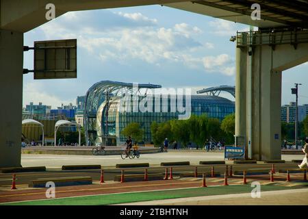 Una foto di alcuni Sevit nel Banpo Hangang Park a Seoul, Corea del Sud. Foto Stock