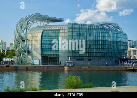 Una foto di alcuni Sevit nel Banpo Hangang Park a Seoul, Corea del Sud. Foto Stock