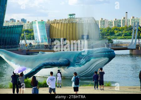 Una foto di alcuni Sevit nel Banpo Hangang Park a Seoul, Corea del Sud. Foto Stock