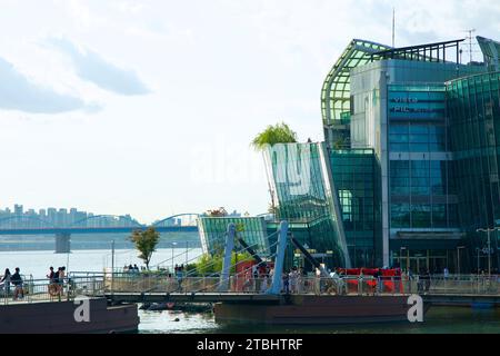 Una foto di alcuni Sevit nel Banpo Hangang Park a Seoul, Corea del Sud. Foto Stock