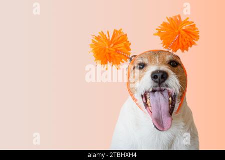 Buon cane eccitato che indossa un cappello da festa con bocca aperta. Foto Stock