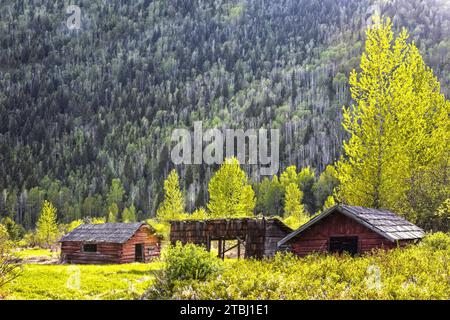 Insediamento abbandonato in una zona di montagna del Canada Foto Stock