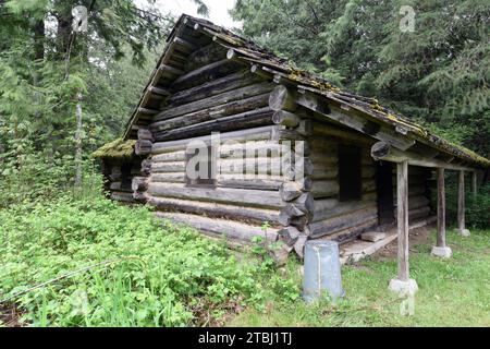 Vecchia cabina di tronchi nel bosco. Foto Stock