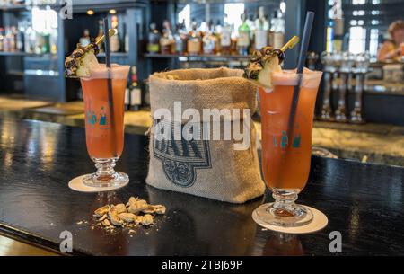 Imbracature di Singapore e arachidi sgusciate nel Raffles Hotel Long Bar, Singapore Foto Stock