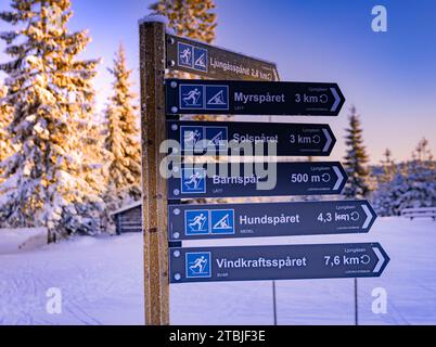 Un centro sciistico fuori dalla città di Ludvika, in Svezia, dove è possibile praticare sci di fondo e ci sono anche piste per slitte trainate da cani Foto Stock