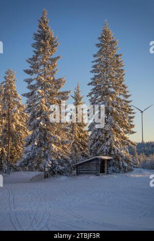 Un centro sciistico fuori dalla città di Ludvika, in Svezia, dove è possibile praticare sci di fondo e ci sono anche piste per slitte trainate da cani Foto Stock