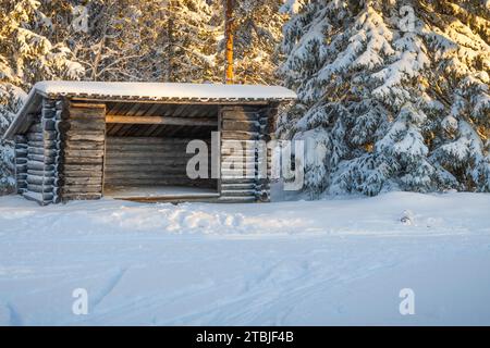 Un centro sciistico fuori dalla città di Ludvika, in Svezia, dove è possibile praticare sci di fondo e ci sono anche piste per slitte trainate da cani Foto Stock