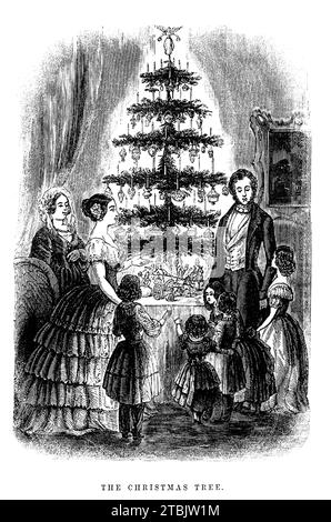 1848 , 25 dicembre , Londra , GRAN BRETAGNA : il principe consorte ALBERTO di SASSONIA COBURGO GOTHA SAALFELD ( 1819 - 1861 ) con la regina VITTORIA Hannover d' Inghilterra ( 1819 - 1901 ) e 5 figli il giorno NOTTE DI NATALE sotto l' ALBERO DI NATALE . Ritratto inciso in ILLUSTRATED LONDON NEWS , dicembre 1848 . - REALI - NOBILI - REALI - NOBILTÀ - FAMIGLIA - FAMIGLIA - riunita sotto l'ALBERO DI NATALE - notte - INGHILTERRA - GRAN BRETAGNA - REGNO UNITO - principe consorte - ritratto - WINDSOR - Regina Vittoria - epoca vittoriana - vittoriana - STORIA - FOTO STORICHE - OTTOCENTO - '800 - '800 Foto Stock