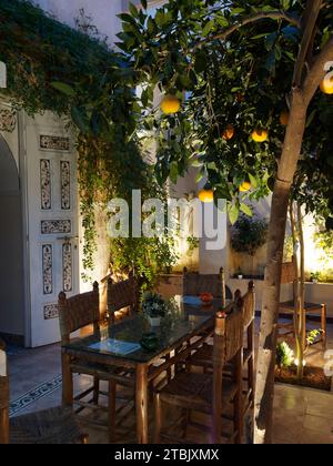 Alberi di limone in un riad di notte con illuminazione artificiale. Marrakech, alias Marrakech, Marocco, 6 dicembre 2023 Foto Stock