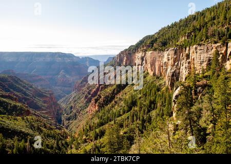 Fotografia dello spettacolare Grand Canyon, presa dal Coconino Overlook, North Rim. Grand Canyon National Park, Arizona, Stati Uniti. Foto Stock