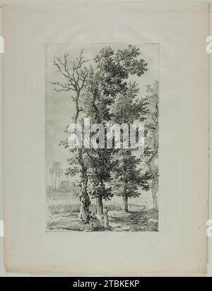 Studio degli alberi, c. 1817. Foto Stock