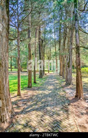 La passerella alberata che conduce da Rowan Oak, la casa di William Faulkner, uno dei più grandi autori d'America, a Oxford, Mississippi. Foto Stock