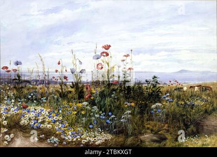 Fiori selvatici con vista sulla baia di Dublino da Kingstown, anni '1830 In primo piano si trova una magnifica tribuna di papaveri, margherite e altri fiori selvatici, e oltre vi è una vista panoramica della Baia di Dublino. Sullo sfondo, il profilo nebbioso della penisola di Howth si estende attraverso l'orizzonte, il molo di Dublino biseca l'estuario, e il porto artificiale di Dun Laoghaire, allora noto come Kingstown, è visibile attraverso i fiori selvatici alla base del pendio in primo piano. Nicholl era un artista autodidatta specializzato in vedute topografiche. Foto Stock