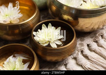 Ciotole tibetane con acqua e splendidi fiori di crisantemo sul tavolo, primo piano Foto Stock