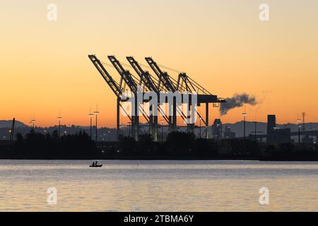 Seattle, WA, USA - 29 ottobre 2023; Row of Raised SSA Terminal Industrial Cranes all'alba di Seattle con cielo arancione Foto Stock