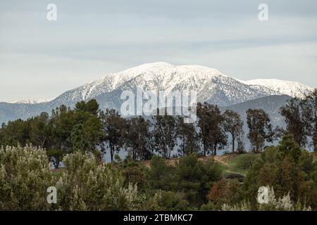 Bella montagna ricoperta di neve oltre gli alberi Foto Stock