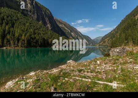 Stilluptal, bacino idrico di Stiillup (1116 m), Stillupgrund, Mayrhofen, lago artificiale, paesaggio alpino, foresta di conifere, cielo blu, Zillertal Foto Stock