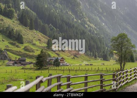 Sentiero escursionistico a Stilluptal, Gasthof Stilluper Haus, Stillupgrund, Mayrhofen, Parco naturale delle Alpi Zillertal, agricoltura, alpino Foto Stock