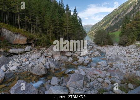 Stillup Bach, Stilluptal, Stillupgrund, Mayrhofen, Parco naturale di alta montagna Alpi Zillertal, foresta di conifere, sentiero escursionistico, Tirolo Foto Stock