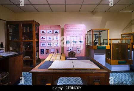 Una ricreazione di un vecchio, originale medico, laboratorio medico. Presso il Museo patologico Ellis, parte del complesso ospedaliero Siriraj Medical Museum di Bangkok Foto Stock