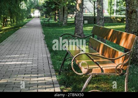 Luogo per rilassarsi nel parco. Una panca di legno vuota si trova sotto gli alberi accanto al sentiero nel parco forestale. Foto Stock