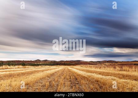 Campi di grano in autunno intorno all'Alhambra Foto Stock