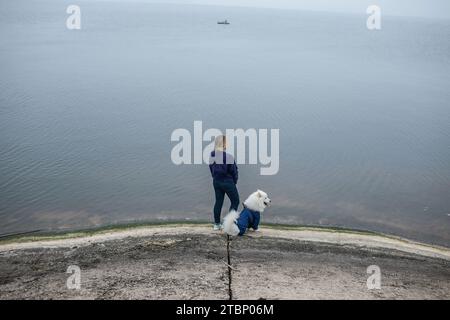 La ragazza cammina con un cane Samoyed bianco e soffice in natura Foto Stock