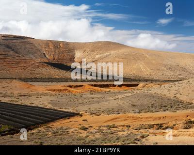 Diffusione di cenere vulcanica nei campi agricoli per favorire la ritenzione idrica a Teguise, nelle Isole Canarie. Foto Stock