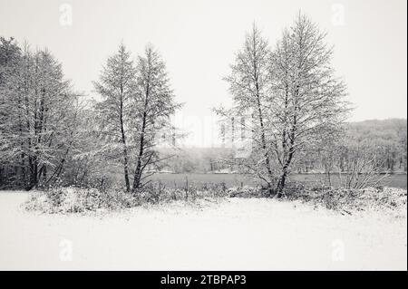 Paesaggio invernale bianco e nero con alberi di fronte e lago ghiacciato o fiume ghiacciato sullo sfondo. Bellissimo e panoramico Foto Stock