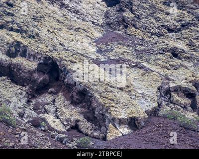 Il lichen ha coperto la roccia nel cratere del Montana Cuervo a Lanzarote, nelle Isole Canarie. Foto Stock