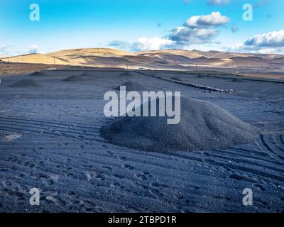 La cenere vulcanica si diffonde sui campi per trattenere l'umidità a Lanzarote, nelle Isole Canarie. Foto Stock