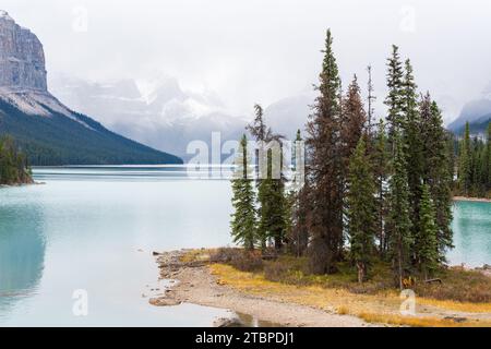L'isola degli abeti si affaccia sul lago nella stagione autunnale delle foglie. montagne nevose sullo sfondo. Foto Stock