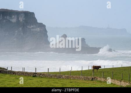 Onde forti che si infrangono sulle scogliere di Galizano in Cantabria Foto Stock