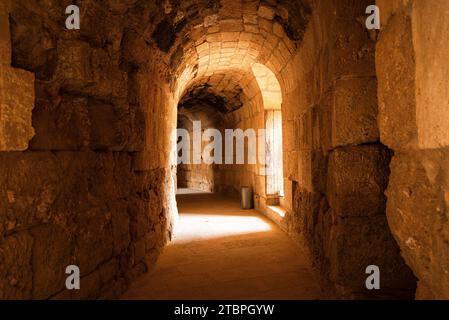 Jerash in Giordania fu fondata nel II secolo a.C. ma decollò sotto il dominio romano. È una delle città romane meglio conservate al mondo Foto Stock